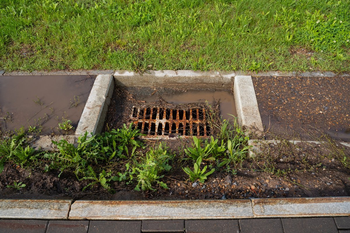 Drain Maintenance